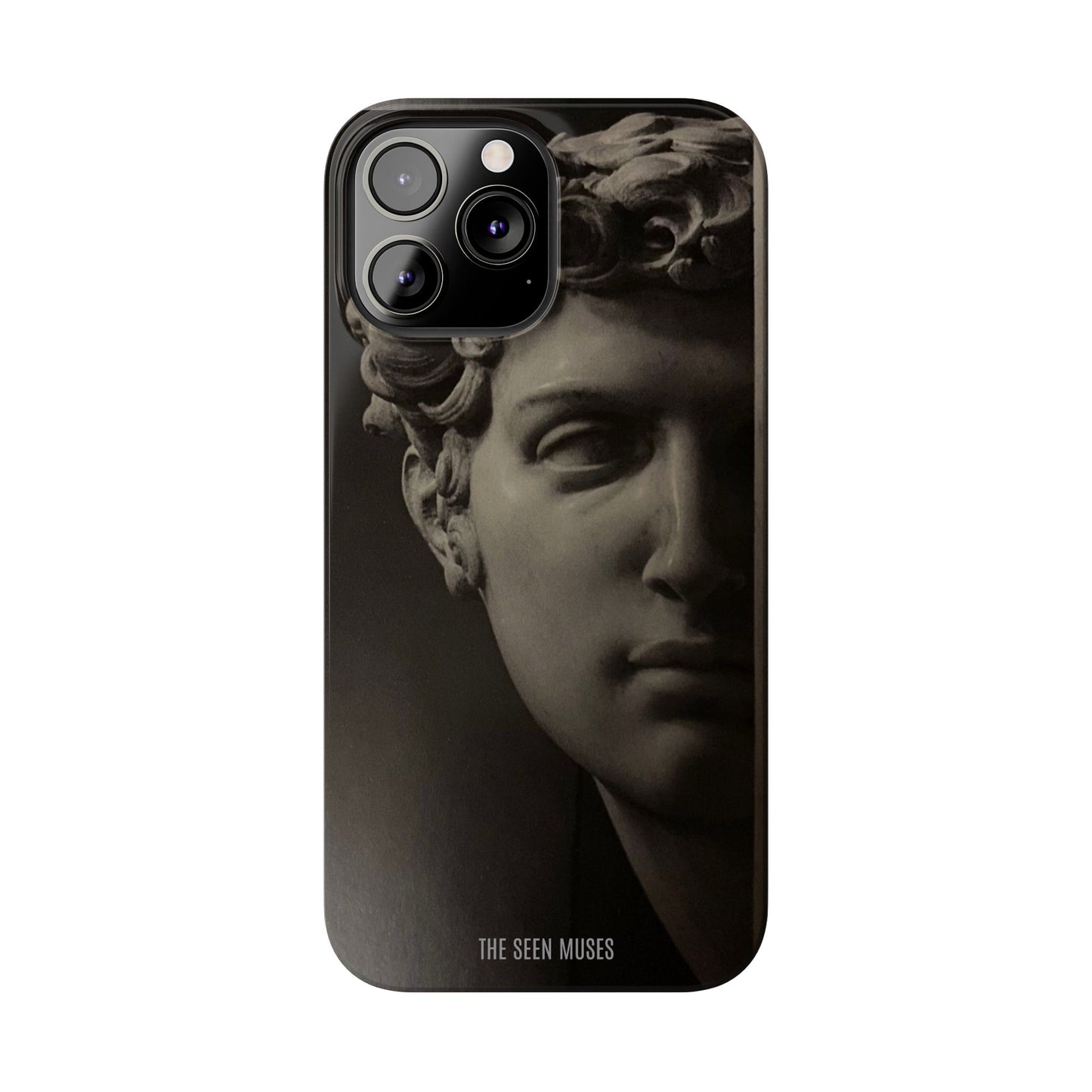 Michelangelo’s David