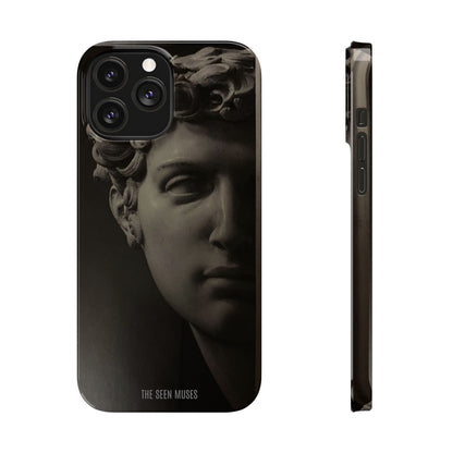 Michelangelo’s David