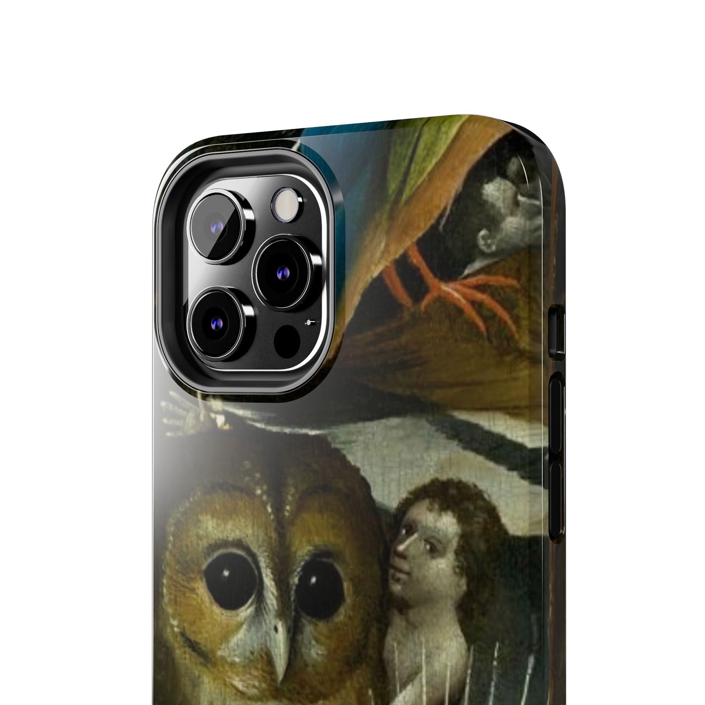 Owl detail by Hiernonymus Bosch