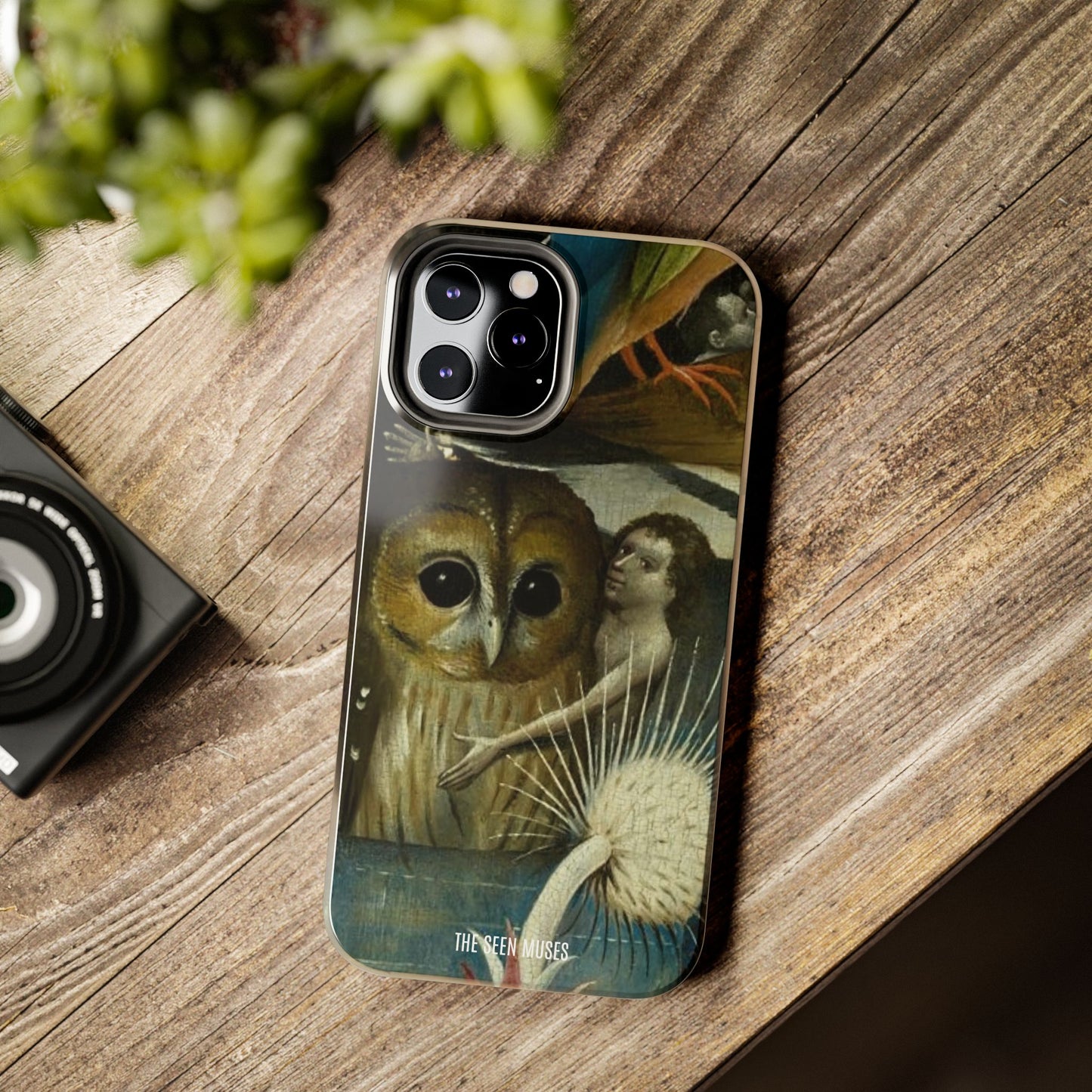 Owl detail by Hiernonymus Bosch